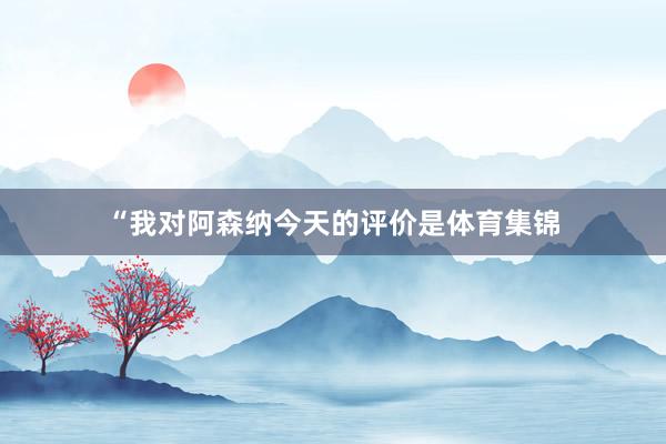 “我对阿森纳今天的评价是体育集锦