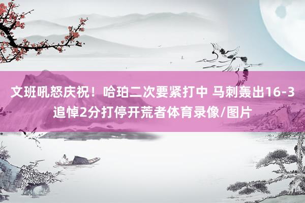 文班吼怒庆祝！哈珀二次要紧打中 马刺轰出16-3追悼2分打停开荒者体育录像/图片