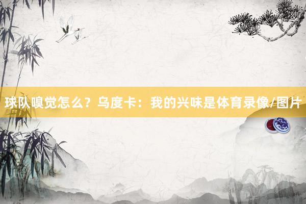 球队嗅觉怎么？乌度卡：我的兴味是体育录像/图片
