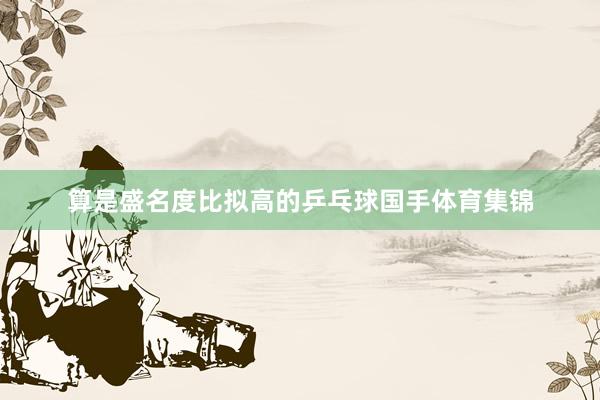 算是盛名度比拟高的乒乓球国手体育集锦