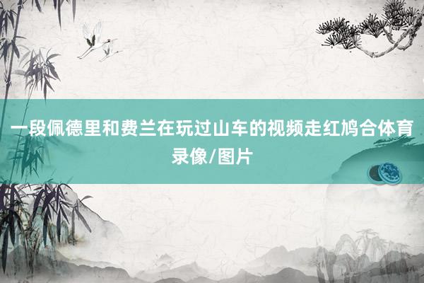一段佩德里和费兰在玩过山车的视频走红鸠合体育录像/图片