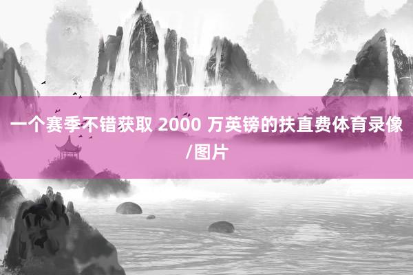 一个赛季不错获取 2000 万英镑的扶直费体育录像/图片
