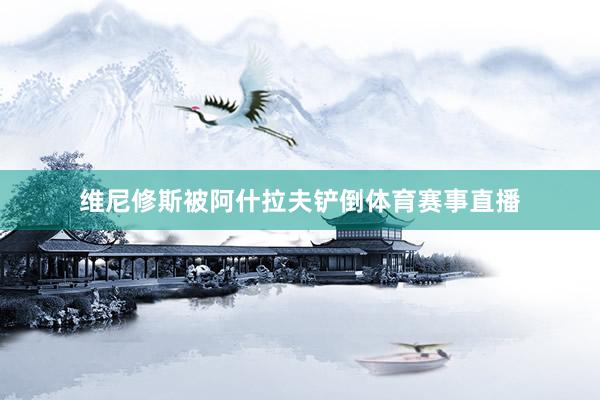 维尼修斯被阿什拉夫铲倒体育赛事直播